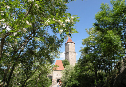 Zvíkov od jihu
